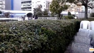 国产av天堂-不日成婚2 粤语